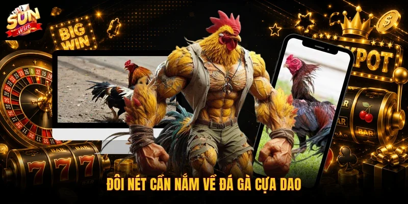 Đôi nét cần nắm về đá gà cựa dao