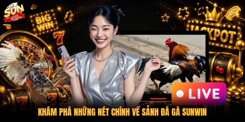 Khám phá những nét chính về sảnh đá gà Sunwin