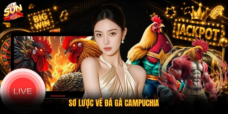 Sơ lược về đá gà Campuchia
