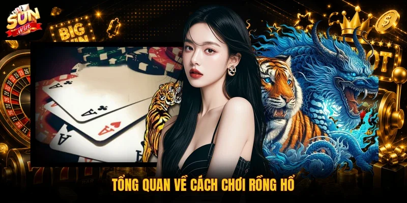 Tổng quan về cách chơi rồng hổ